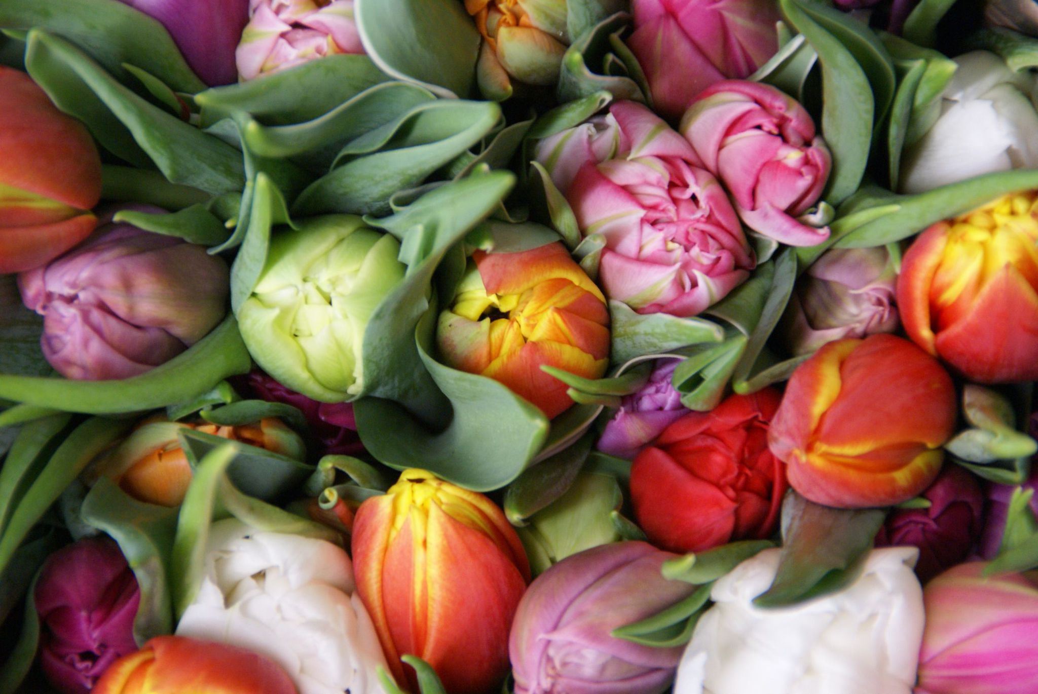 Banner Blumenladen