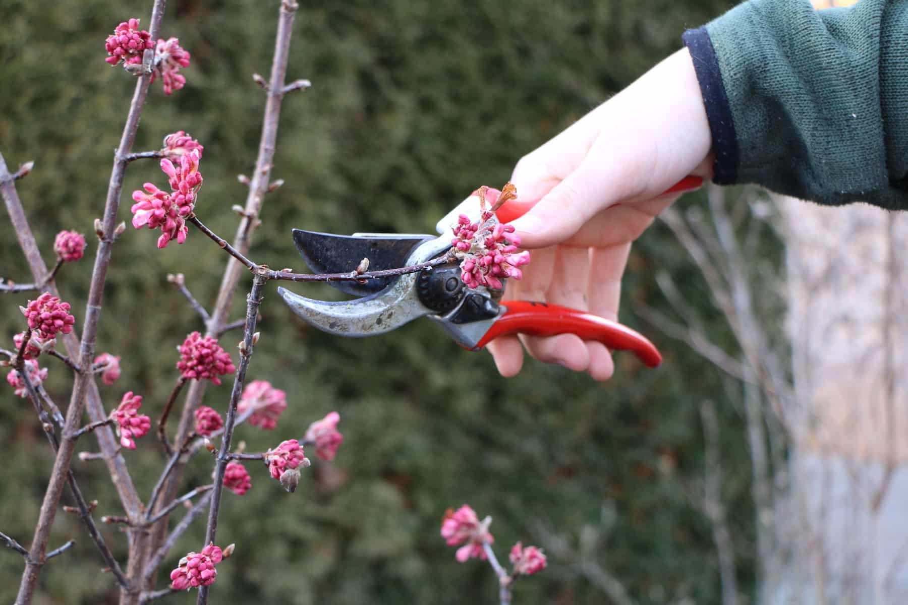 Banner-Gartenbau