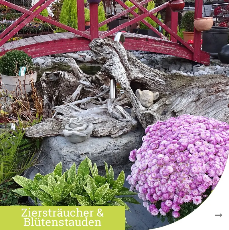 Ziersträucher und Blütenstauden